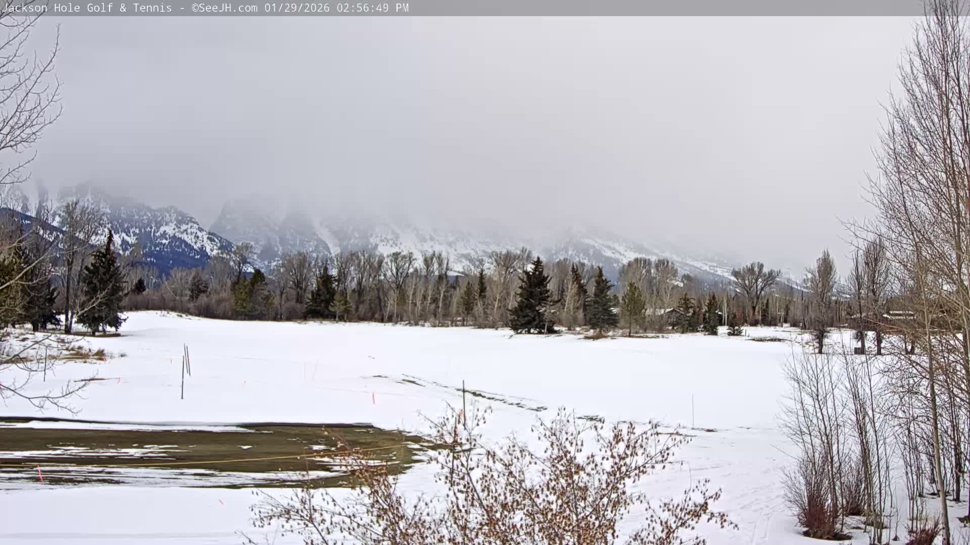Jackson Hole Golf & Tennis Club Live Cam - Jackson, Teton, Wyoming, USA