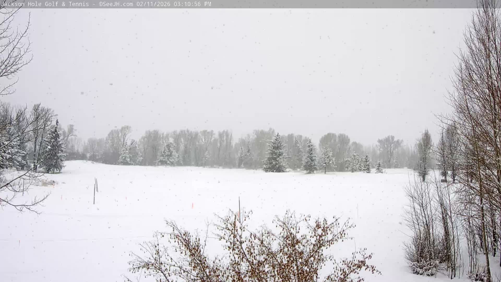 Jackson Hole Golf & Tennis Club Live Cam - Jackson, Teton, Wyoming, USA