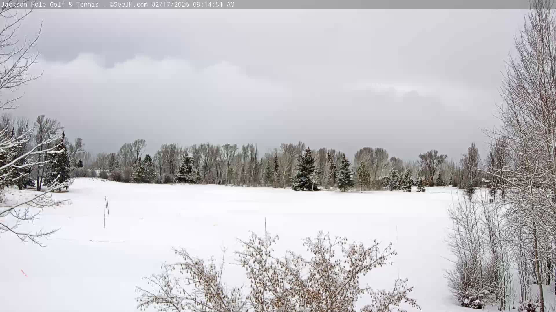 Jackson Hole Golf & Tennis Club Live Cam - Jackson, Teton, Wyoming, USA
