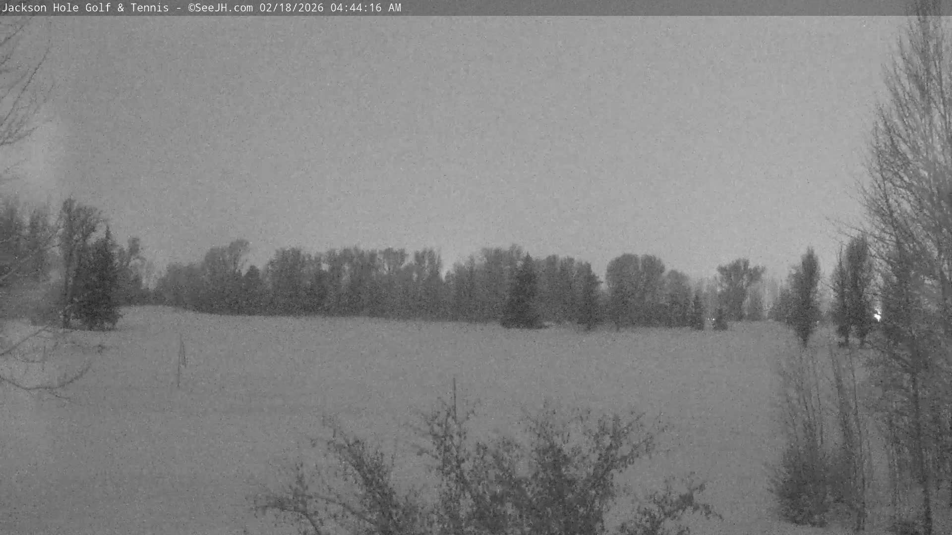 Jackson Hole Golf & Tennis Club Live Cam - Jackson, Teton, Wyoming, USA