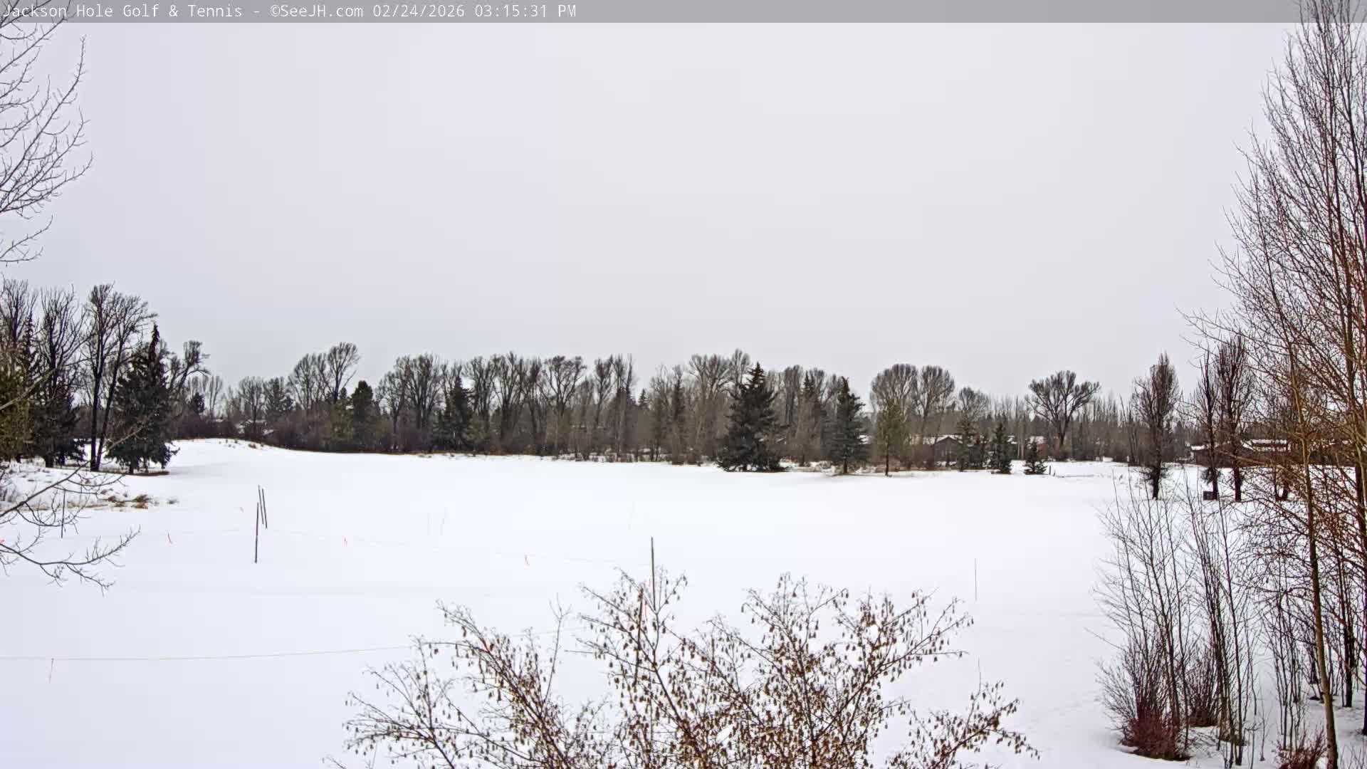 Jackson Hole Golf & Tennis Club Live Cam - Jackson, Teton, Wyoming, USA