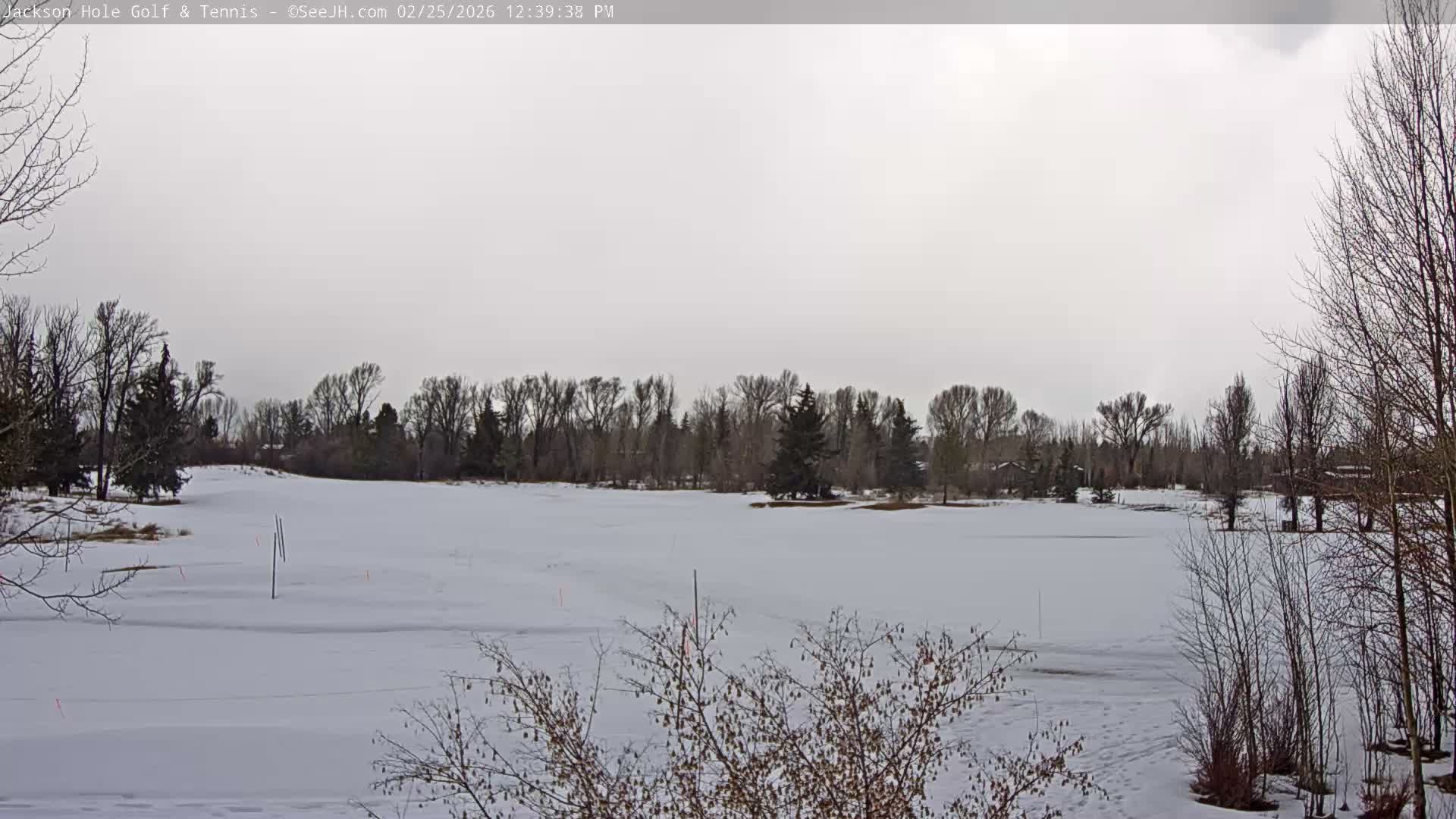 Jackson Hole Golf & Tennis Club Live Cam - Jackson, Teton, Wyoming, USA