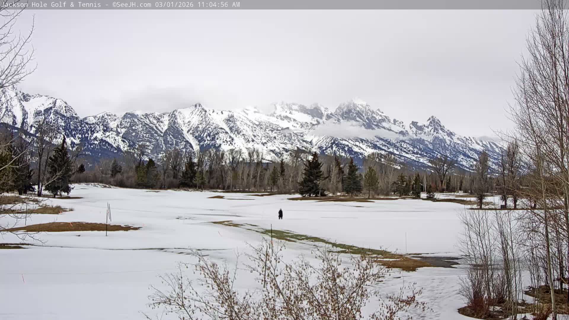 Jackson Hole Golf & Tennis Club Live Cam - Jackson, Teton, Wyoming, USA