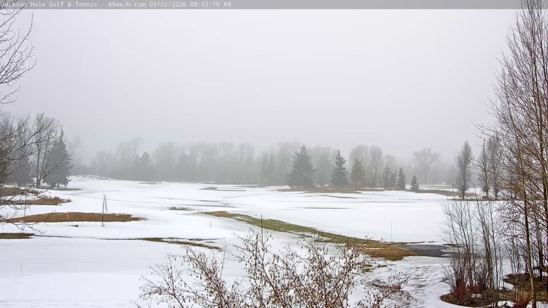 Jackson Hole Golf & Tennis Club Live Cam - Jackson, Teton, Wyoming, USA