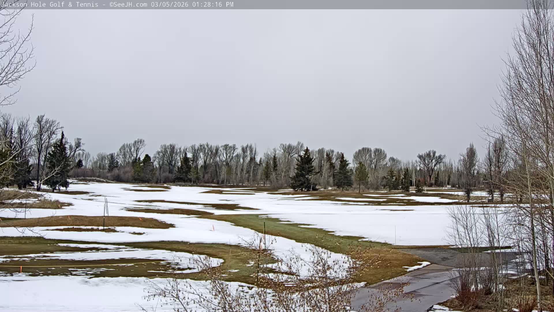 Jackson Hole Golf & Tennis Club Live Cam - Jackson, Teton, Wyoming, USA