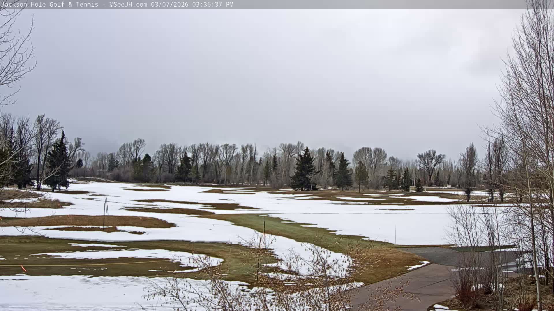 Jackson Hole Golf & Tennis Club Live Cam - Jackson, Teton, Wyoming, USA