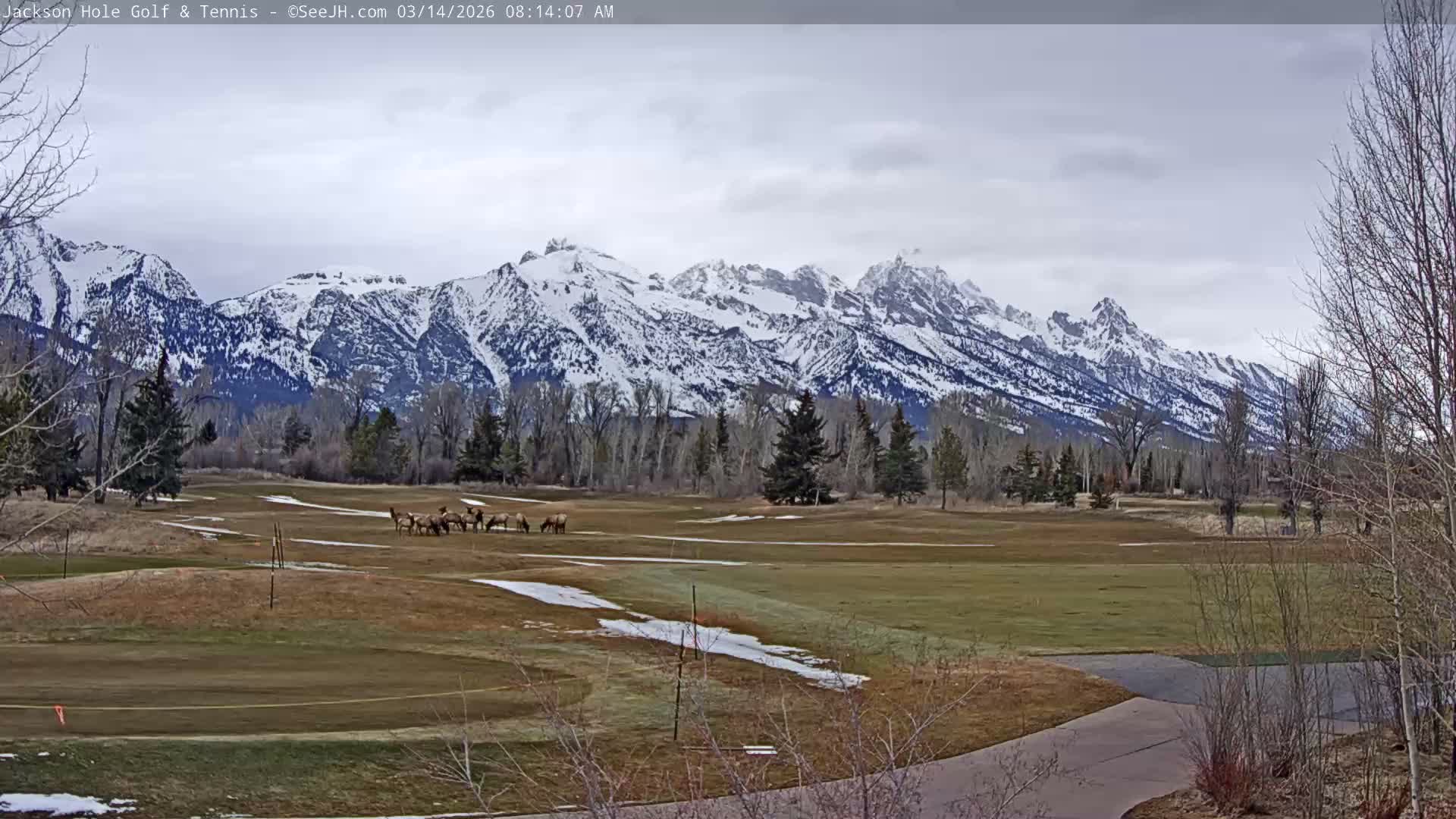 Jackson Hole Golf & Tennis Club Live Cam - Jackson, Teton, Wyoming, USA