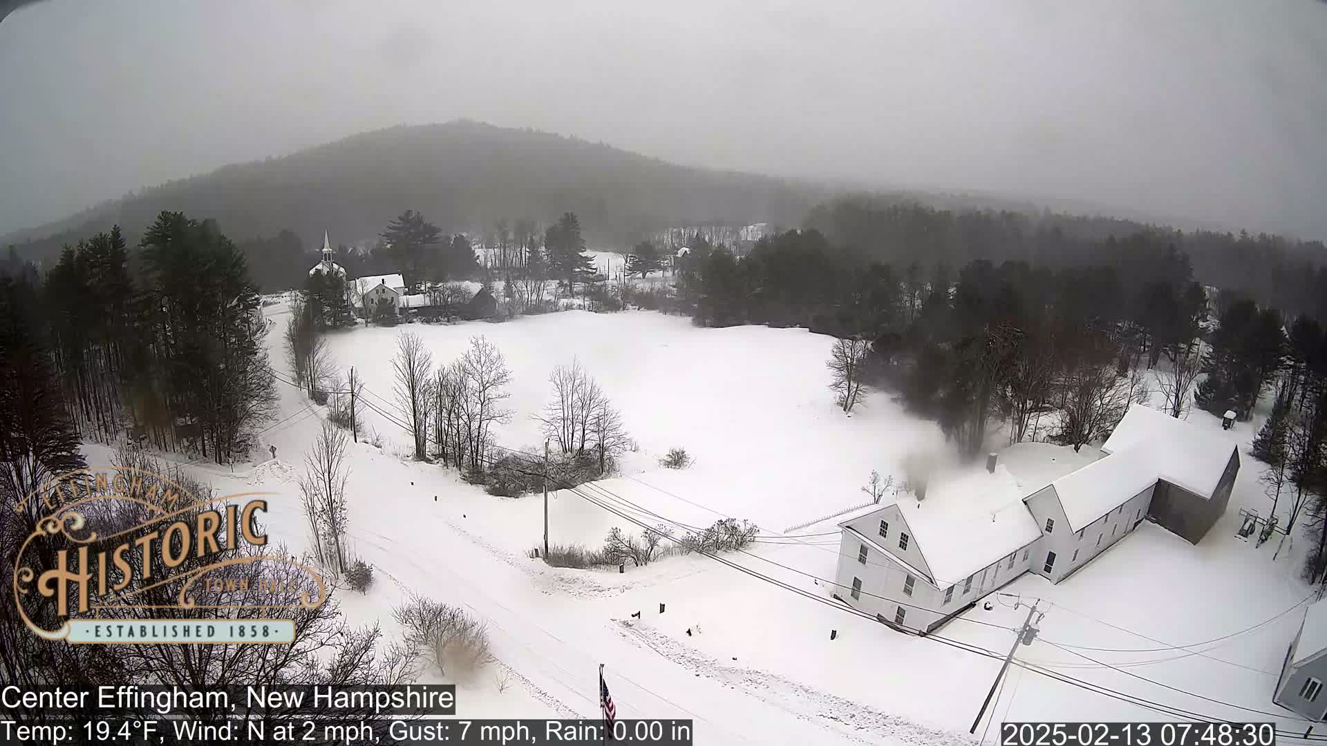 A snow-covered town with several buildings and trees, under an overcast sky with light snowfall.