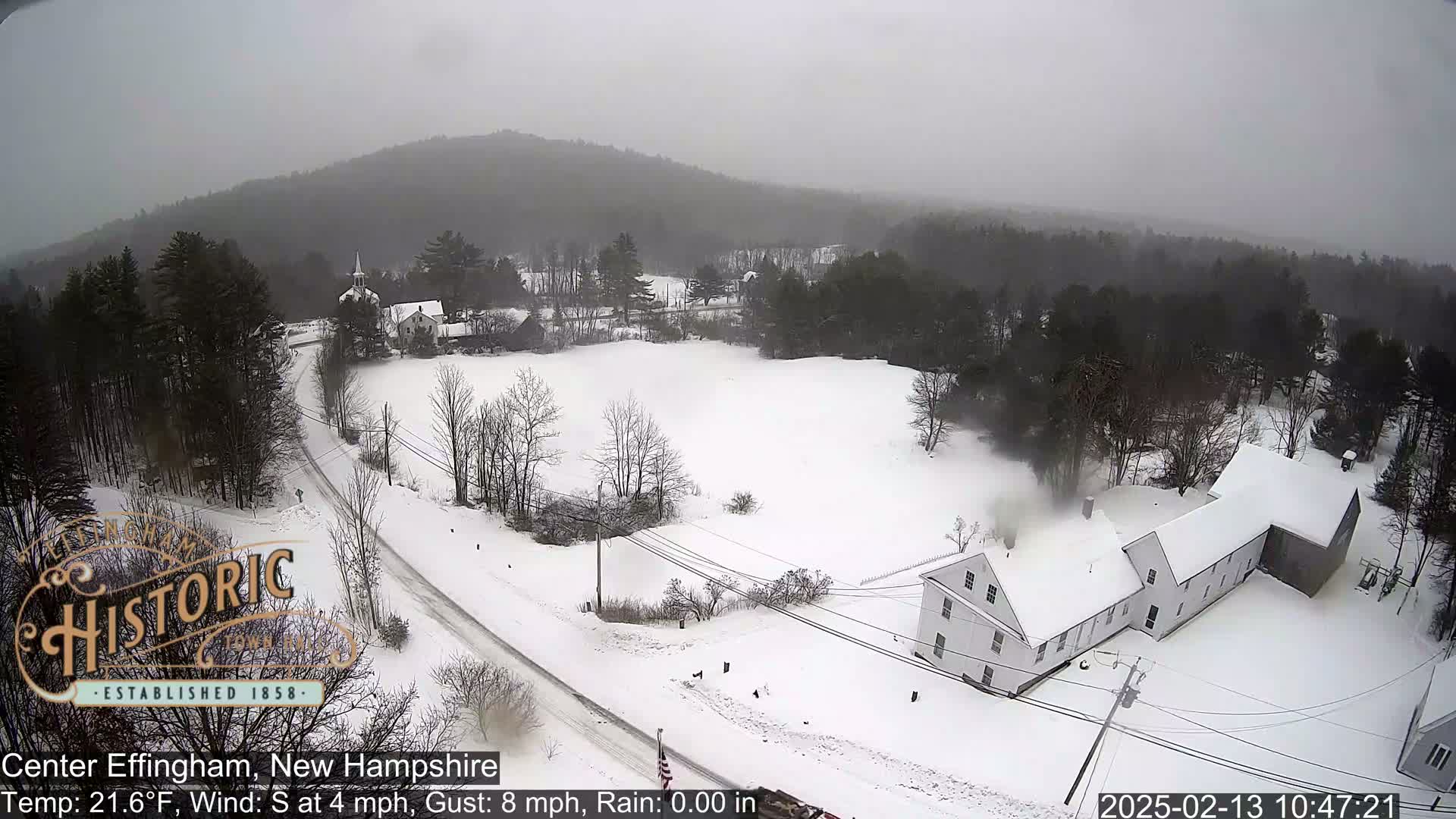 A snow-covered landscape with buildings and trees, under a gray, overcast sky, with light snowfall.