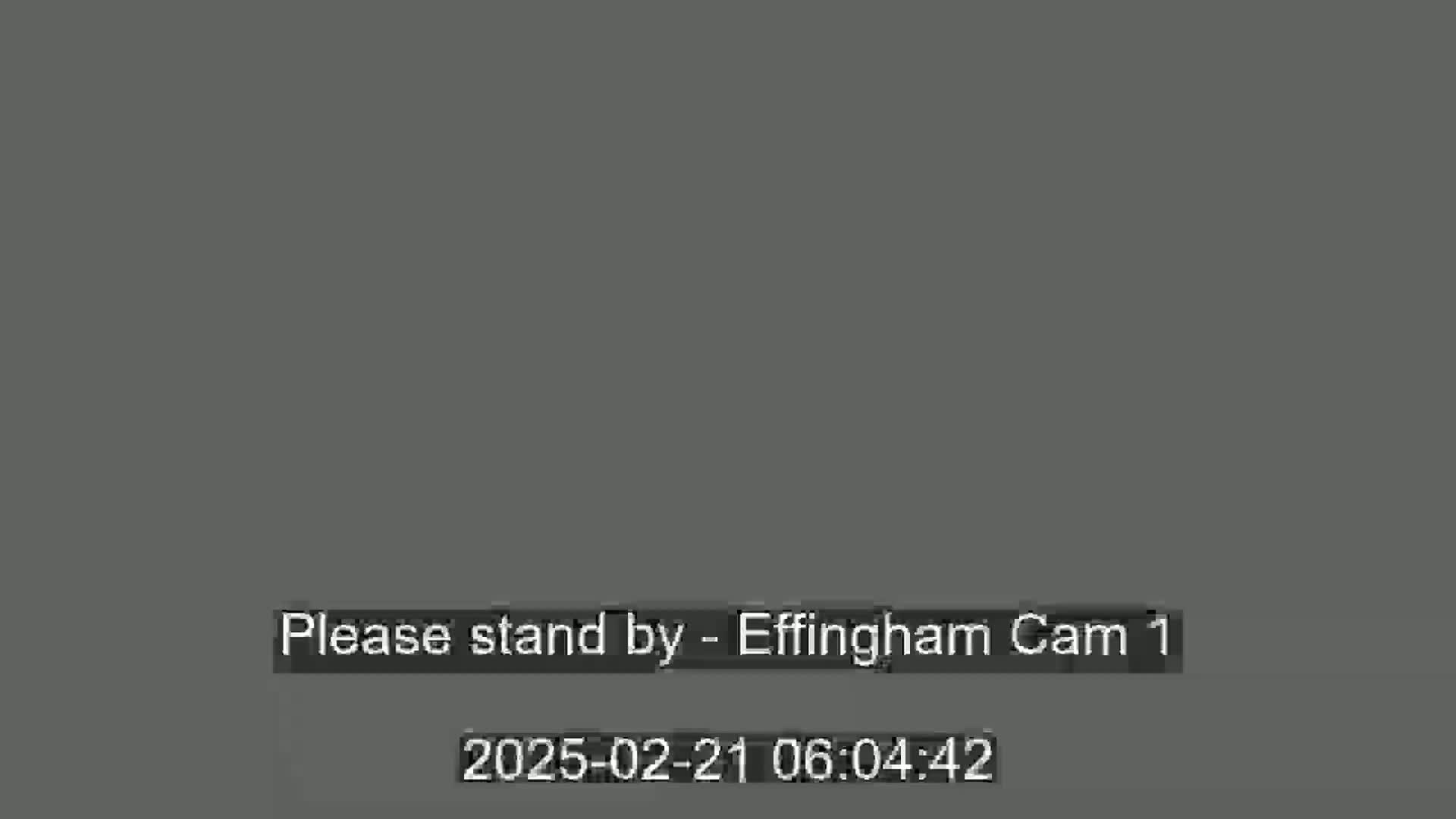 A solid gray screen displays a message indicating that the camera feed is offline.