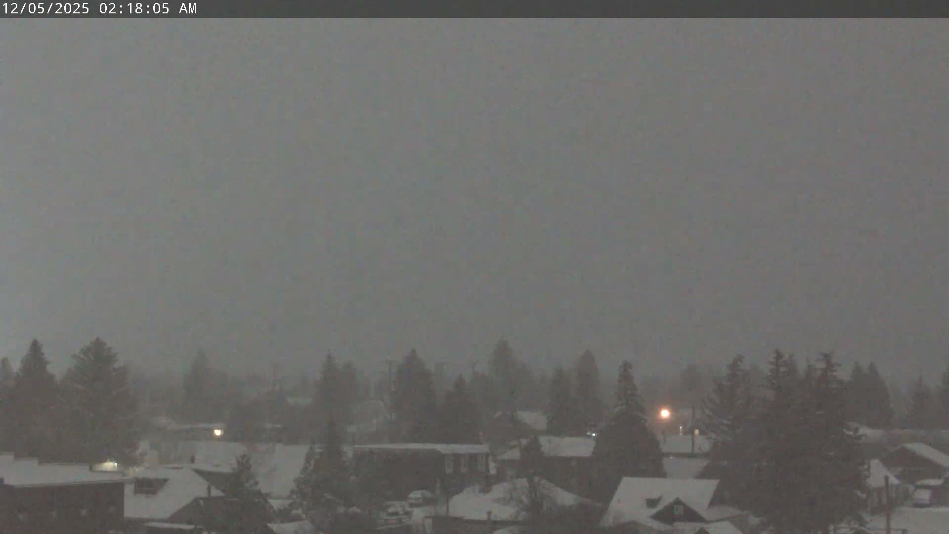 A hazy, snowy night scene shows a residential area with snow-covered houses and numerous pine trees under a dark sky, with a few distant lights visible.