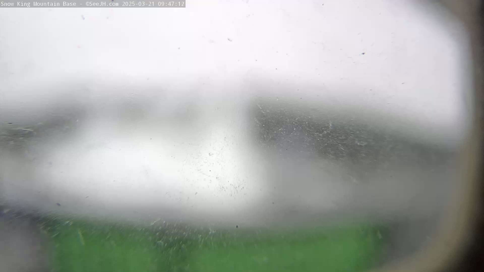 A blurry view of a snowy, overcast scene shows a hint of green at the bottom.