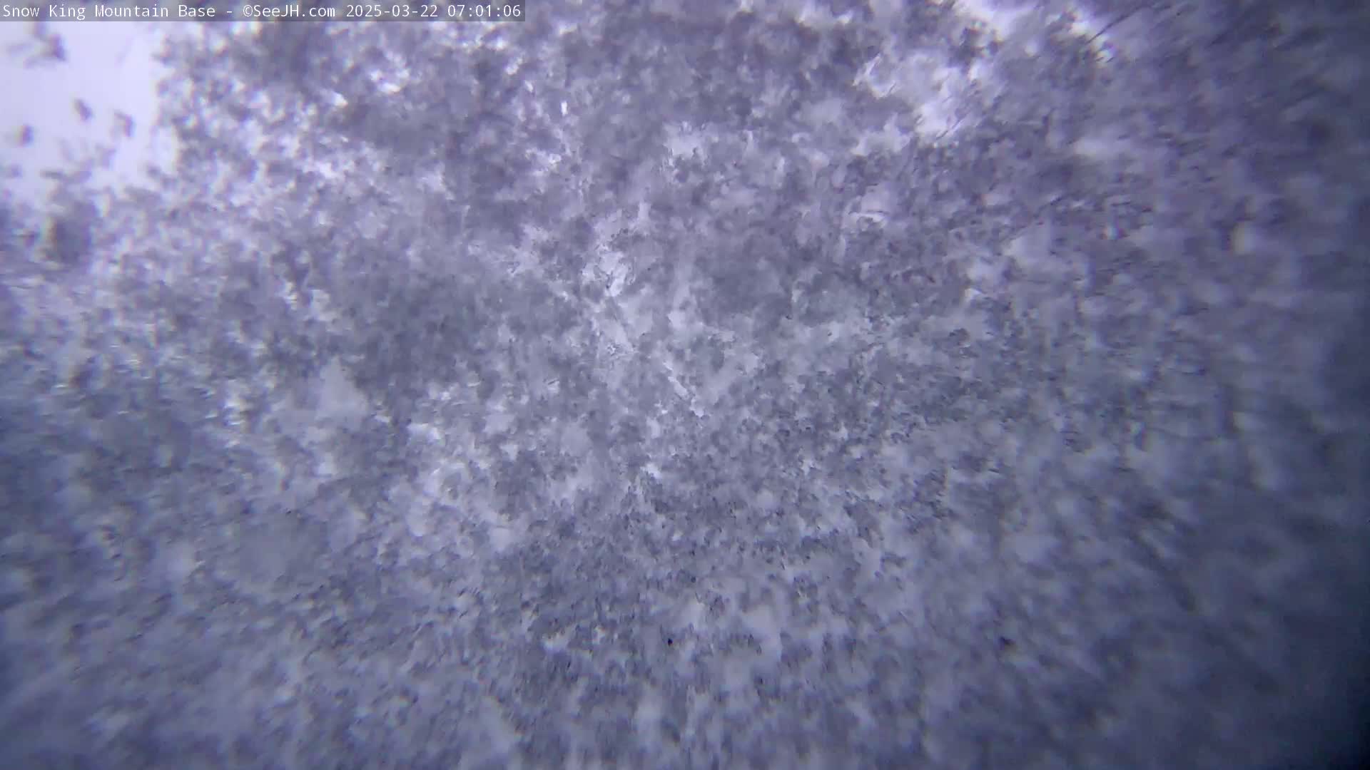 A close-up view shows a heavily snow-covered surface during a snowstorm.