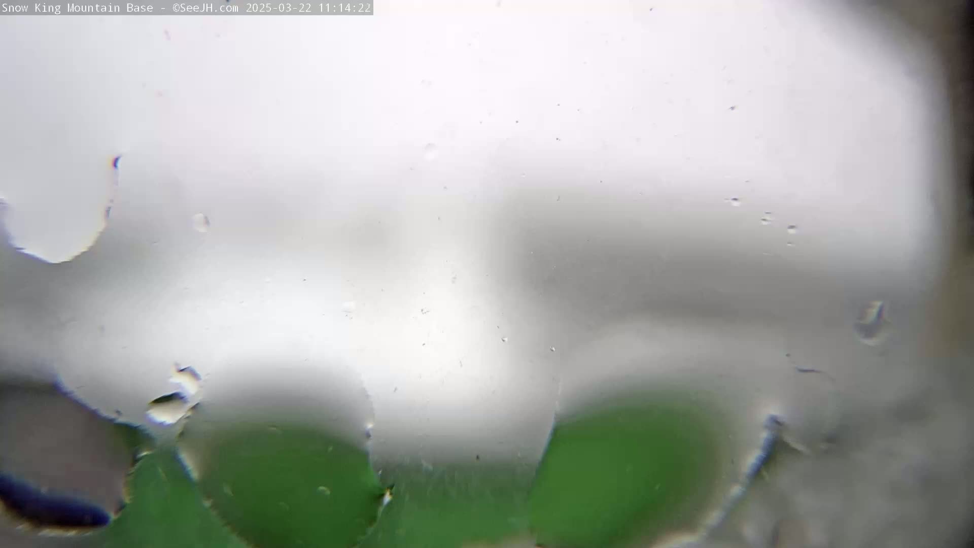 A blurry, foggy view of a green landscape is seen through a rain-streaked window.