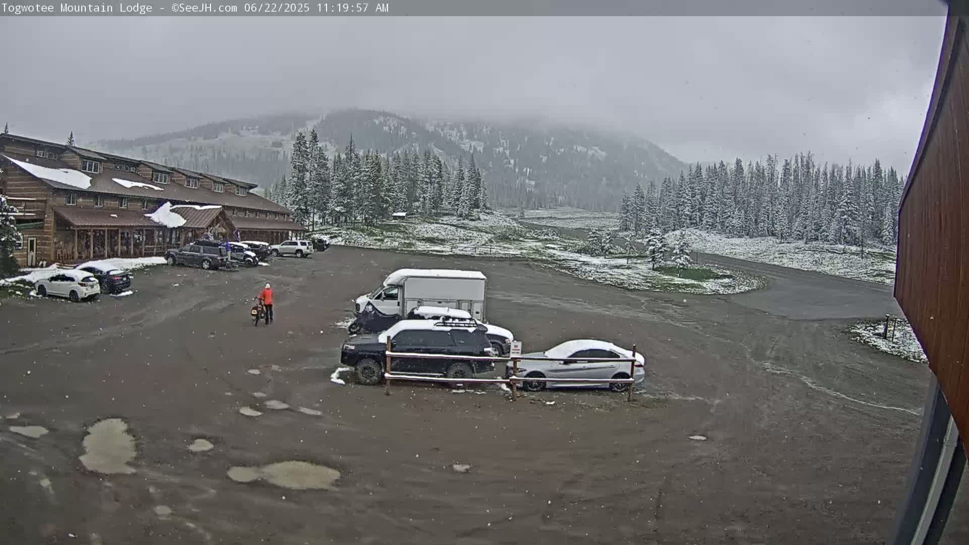 A lodge parking lot with several cars and a van, lightly dusted with snow, is nestled among snow-dusted evergreen trees under an overcast sky.