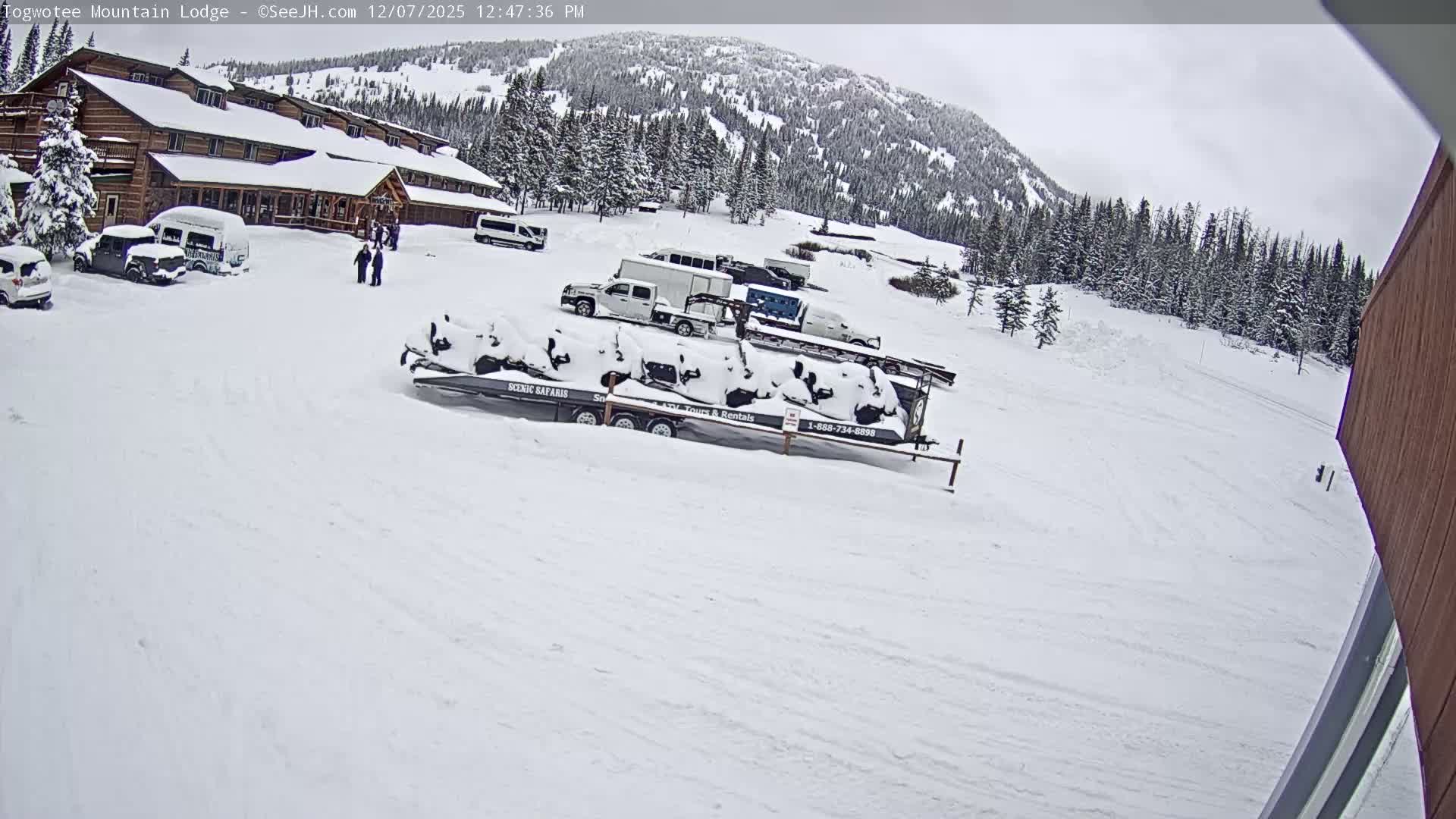 Togwotee Mountain & Mountain Lodge Live Cam - Moran, Teton, Wyoming, USA