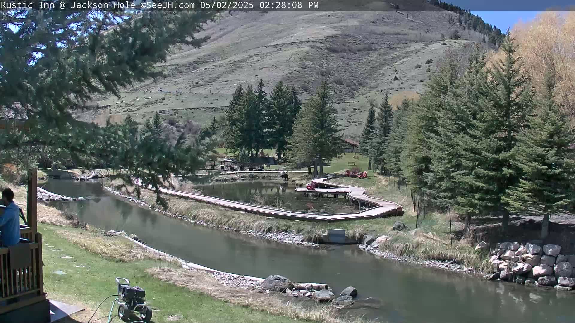 A sunny day reveals a tranquil river scene, with a wooden boardwalk winding around a pond nestled among evergreens and a hillside, near a small building.
