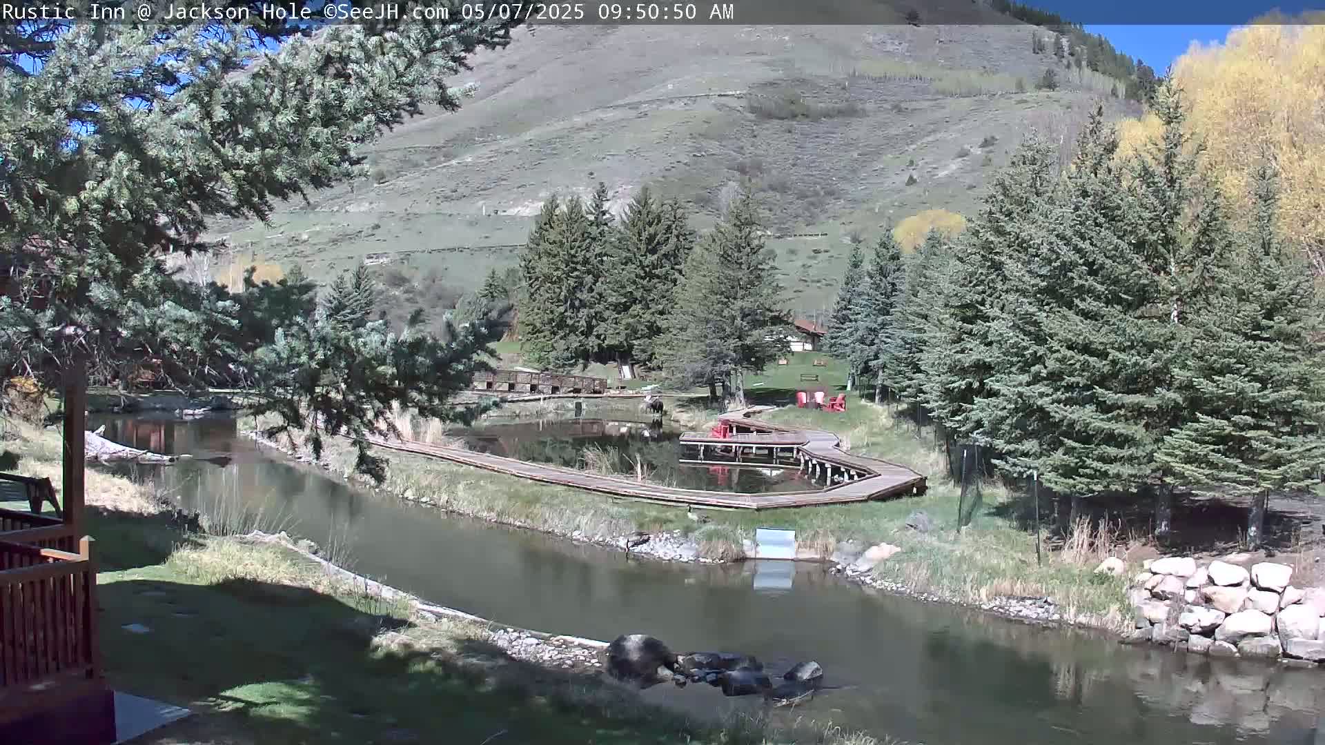 A tranquil river flows through a sunny landscape of evergreen trees and a small pond with wooden walkways, under a clear blue sky.
