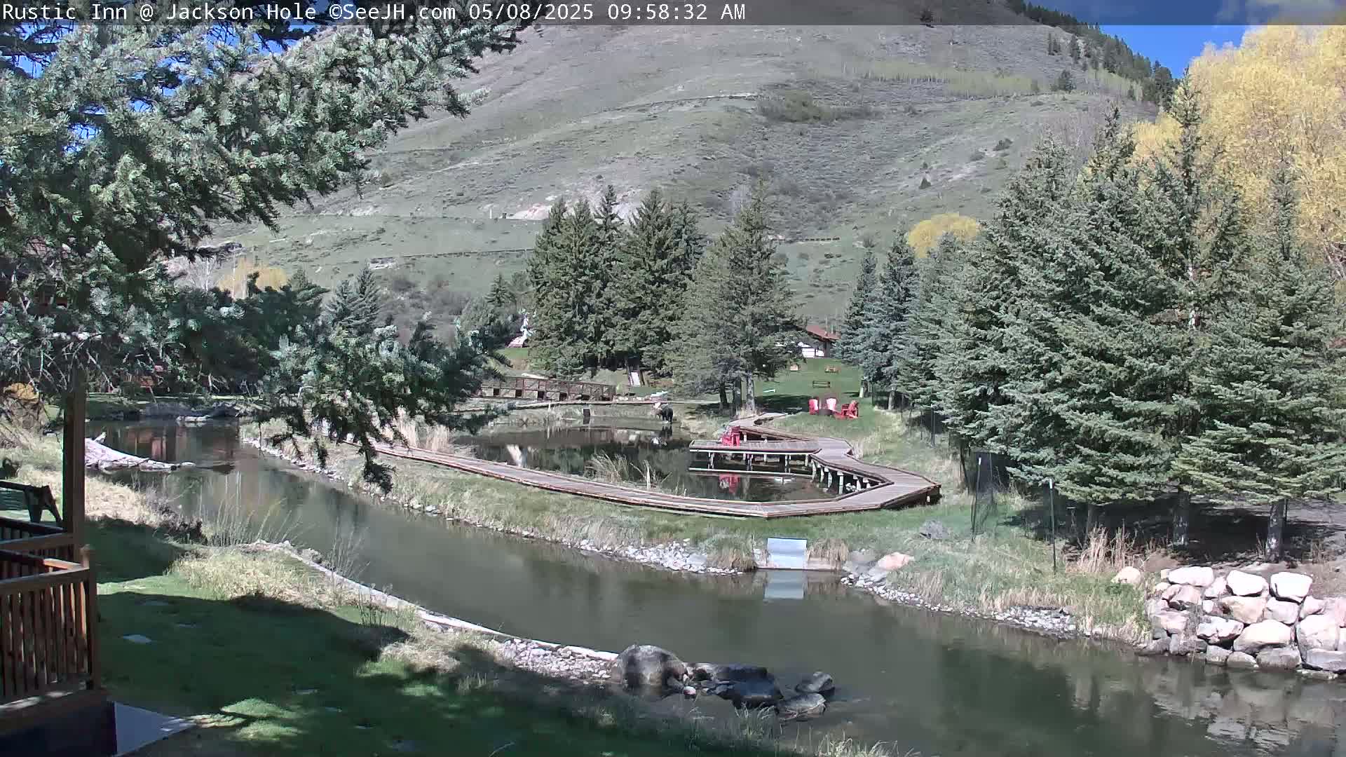 A sunny day reveals a calm river winding through a green valley with evergreen trees, a wooden boardwalk around a pond, and a hillside in the background.