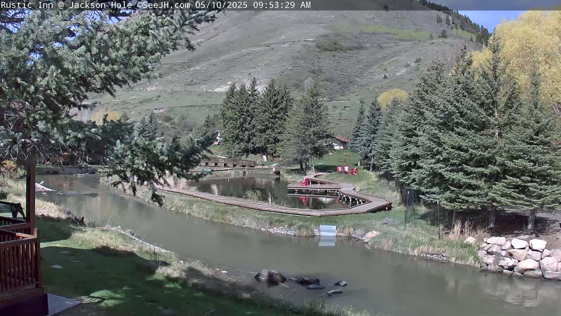 A calm river flows past a grassy area with wooden walkways surrounding a small pond, nestled among evergreens and a hillside under a sunny sky.