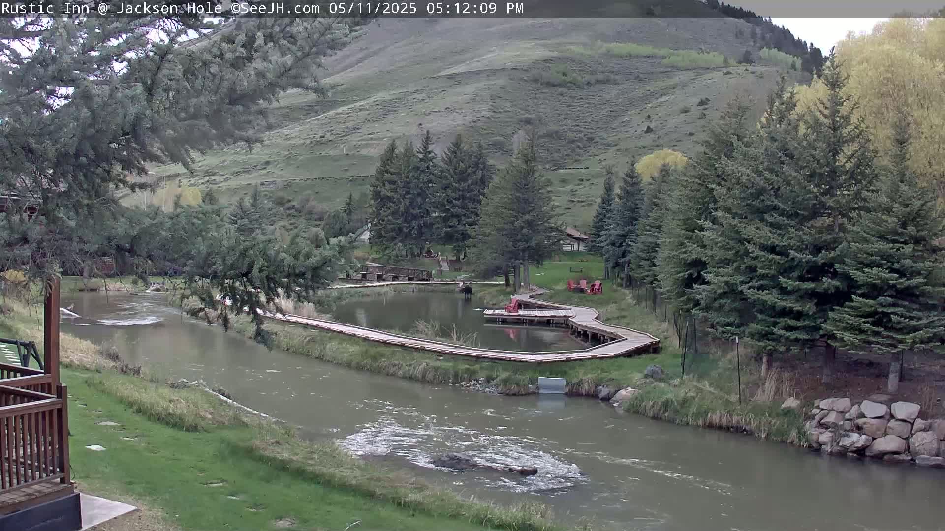 A winding boardwalk surrounds a pond next to a river, nestled among evergreens and a grassy hillside under an overcast sky.
