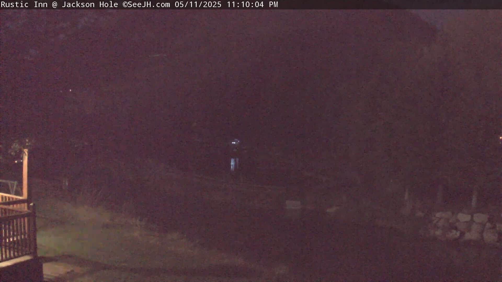 A nighttime, low-light view shows a dark, wooded area with a portion of a wooden deck and railing visible in the lower-left corner.