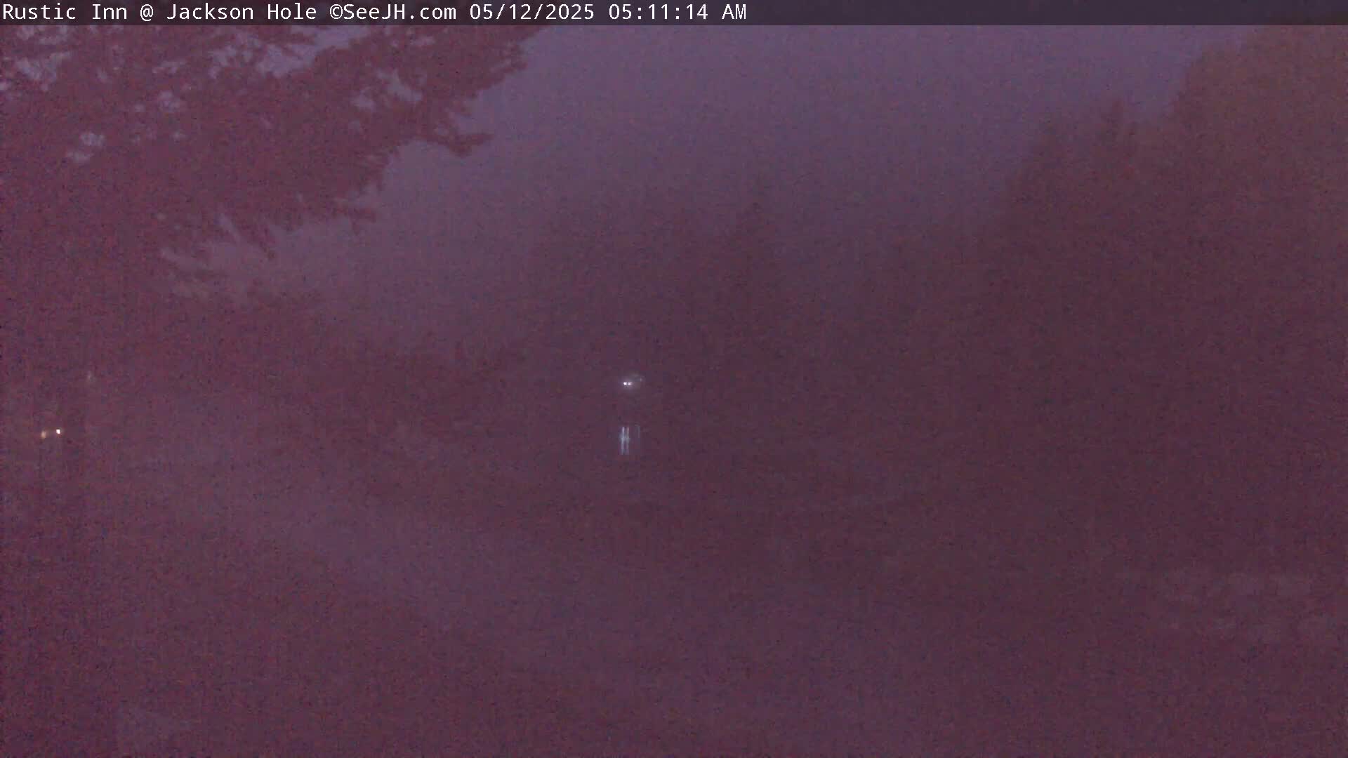 A dimly lit, foggy outdoor scene shows dark trees and a faint light in the distance.