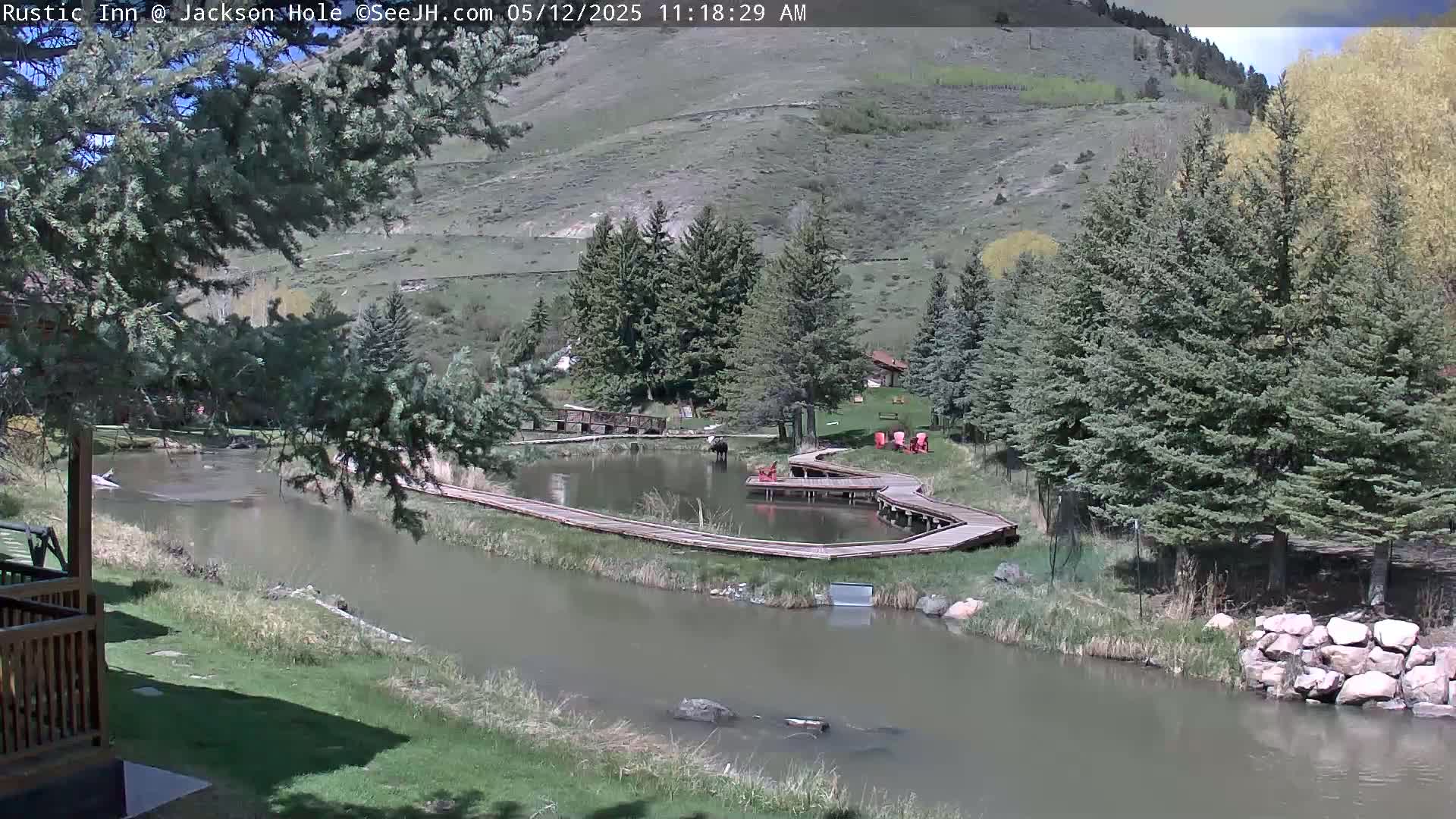 A partly sunny day reveals a tranquil pond surrounded by a wooden boardwalk, nestled amongst evergreens and a grassy hillside.