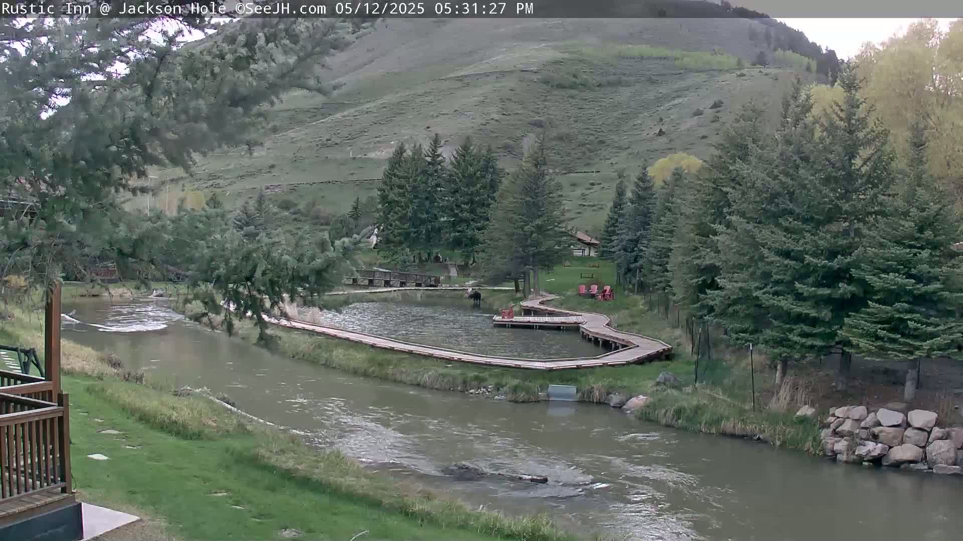 A river flows past a grassy area with wooden walkways surrounding a pond, nestled amongst evergreen trees and a hillside under an overcast sky.
