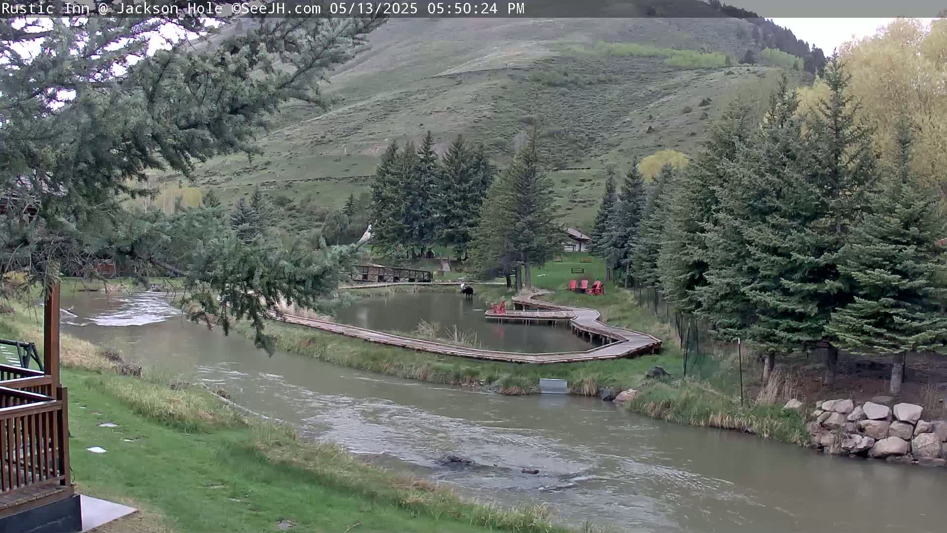 Jackson Hole, Flat Creek from Rustic Inn Resort Live Cam - Jackson, Teton, Wyoming, USA