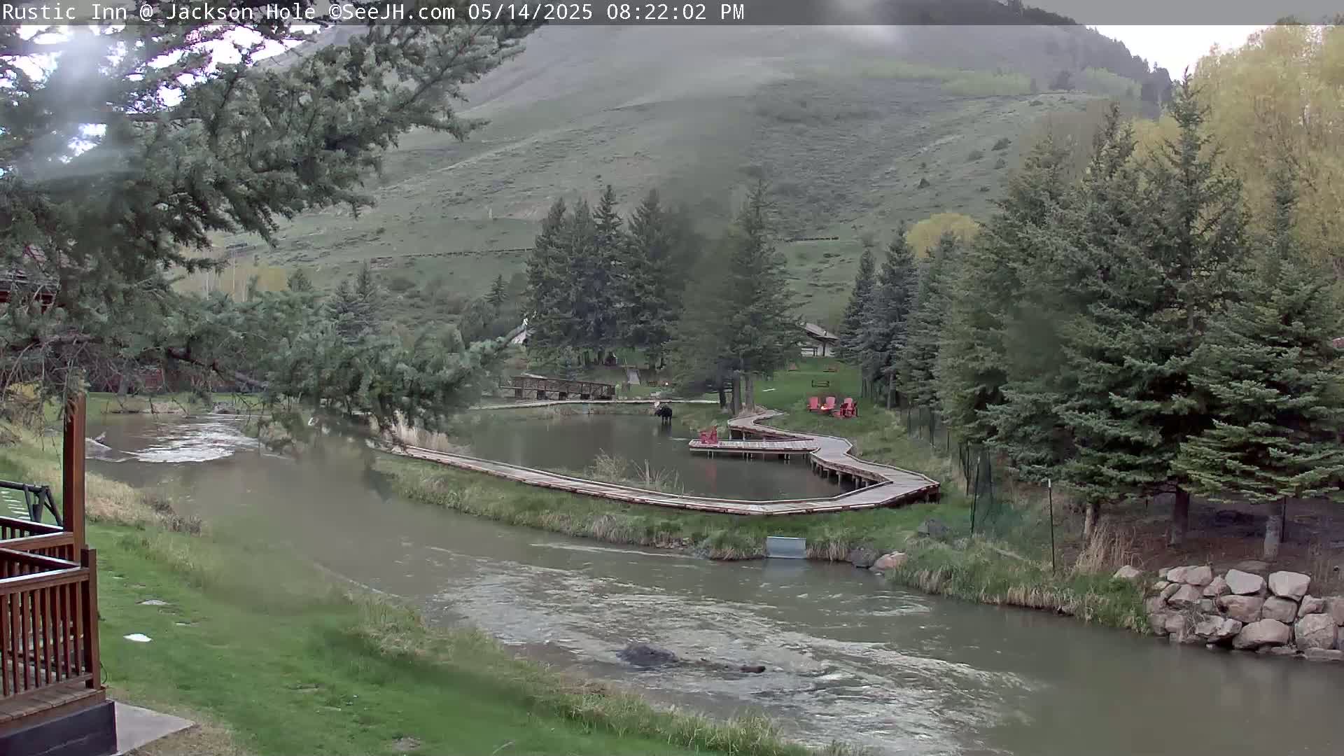 Jackson Hole, Flat Creek from Rustic Inn Resort Live Cam - Jackson, Teton, Wyoming, USA