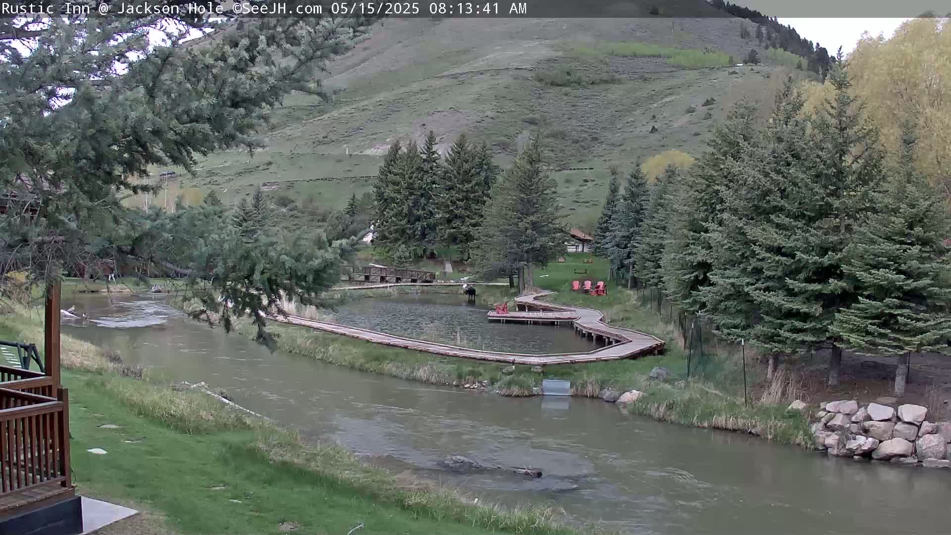 A river flows past a grassy area with wooden walkways around a pond, nestled among evergreen trees and a hillside under an overcast sky.