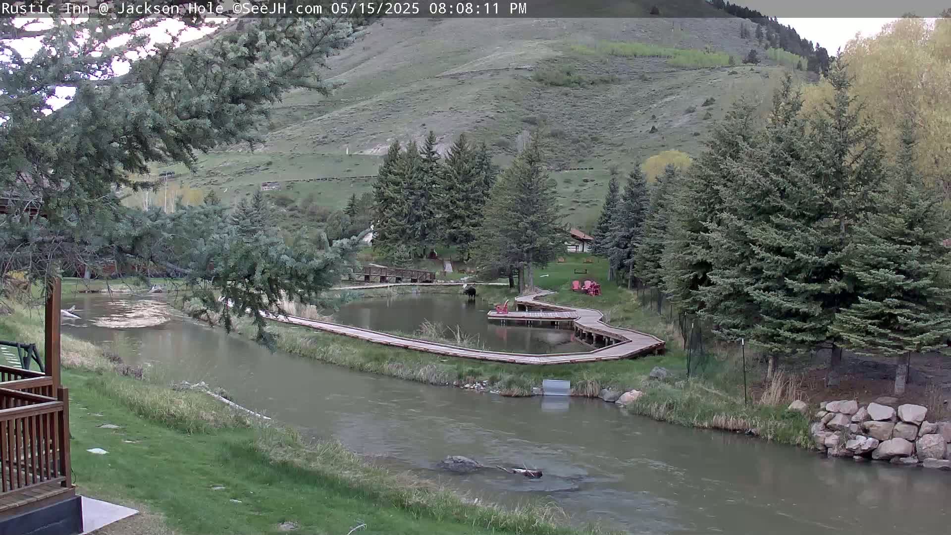 Jackson Hole, Flat Creek from Rustic Inn Resort Live Cam - Jackson, Teton, Wyoming, USA