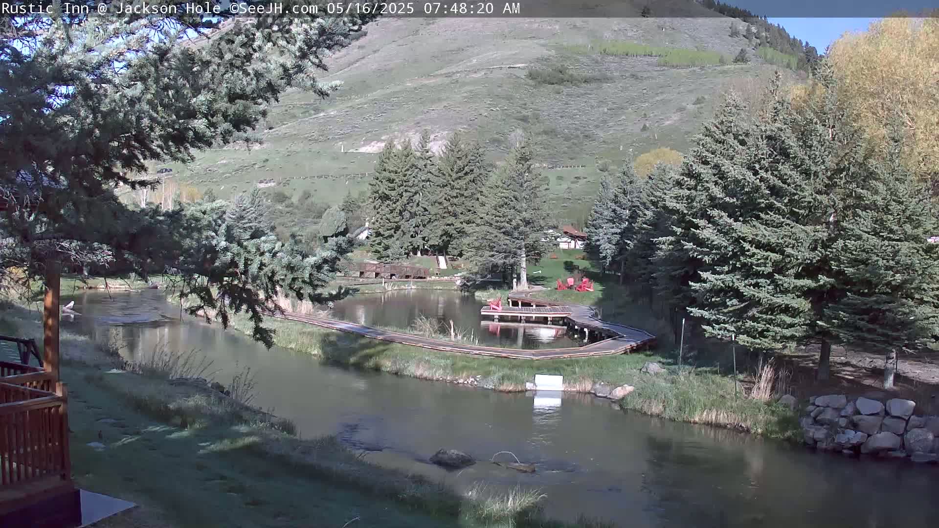 A sunny view of a river flowing past a tranquil pond with wooden walkways and surrounding evergreen trees, nestled against a hillside.