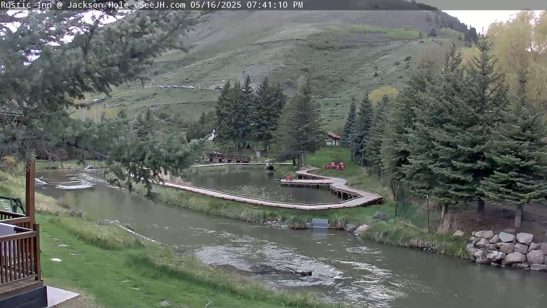 Jackson Hole, Flat Creek from Rustic Inn Resort Live Cam - Jackson, Teton, Wyoming, USA
