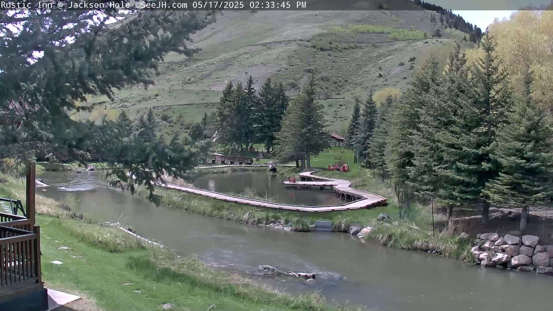 A winding boardwalk curves around a pond next to a river, nestled amongst evergreen trees on a sunny day.