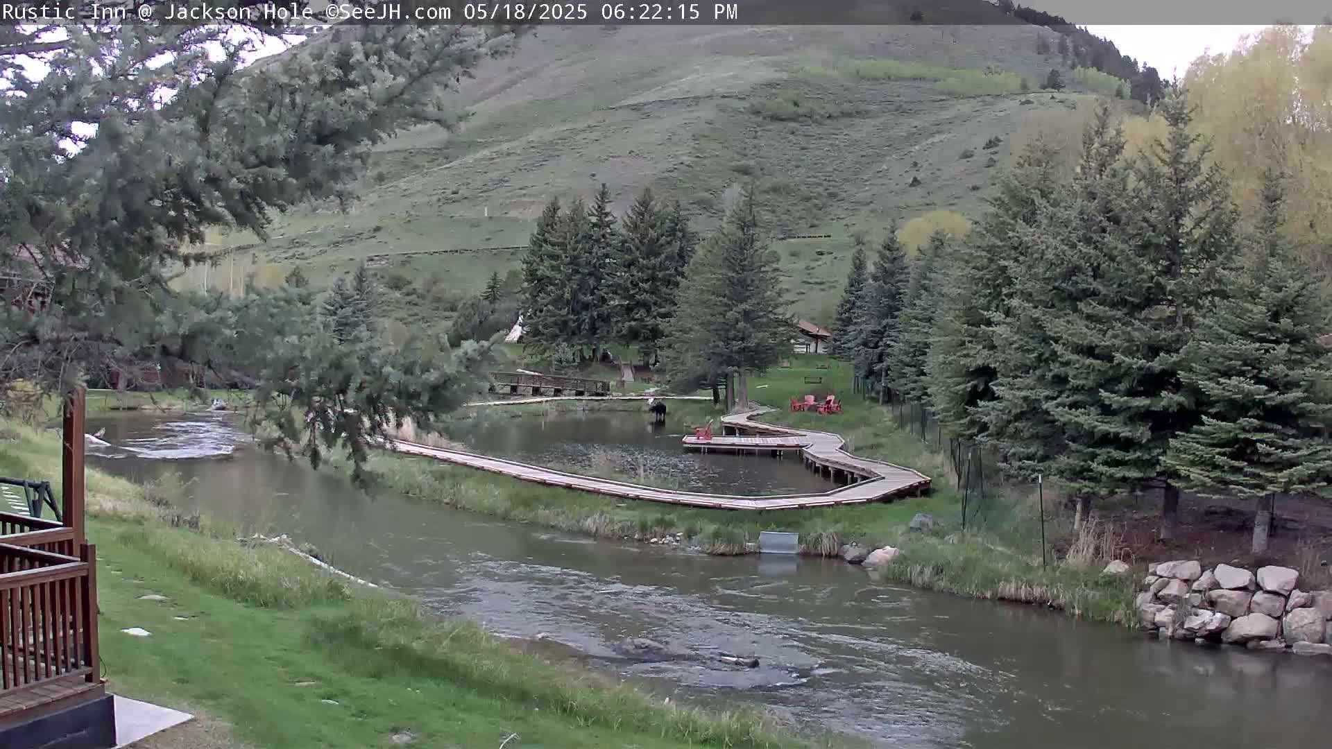 Jackson Hole, Flat Creek from Rustic Inn Resort Live Cam - Jackson, Teton, Wyoming, USA
