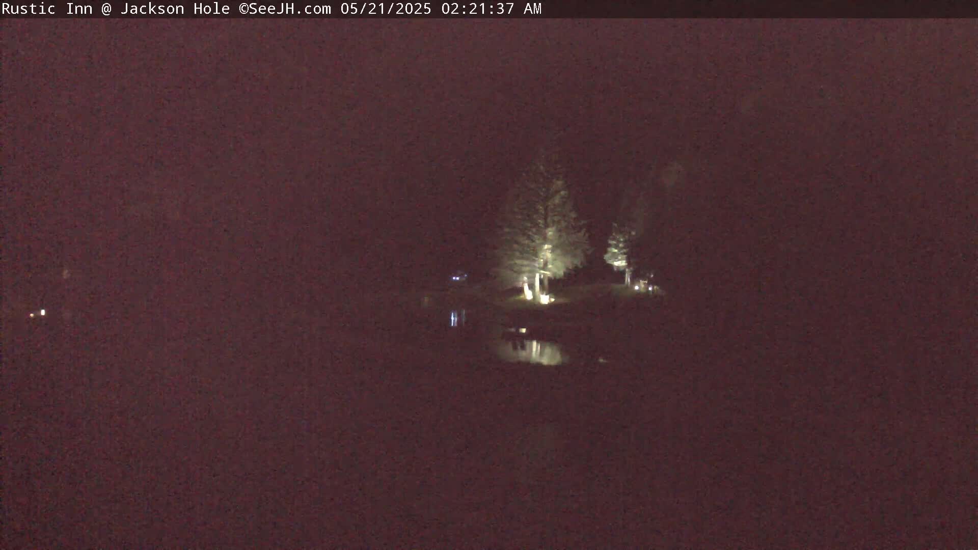 A nighttime, low-light image shows a dark body of water reflecting illuminated trees and land on the far shore.