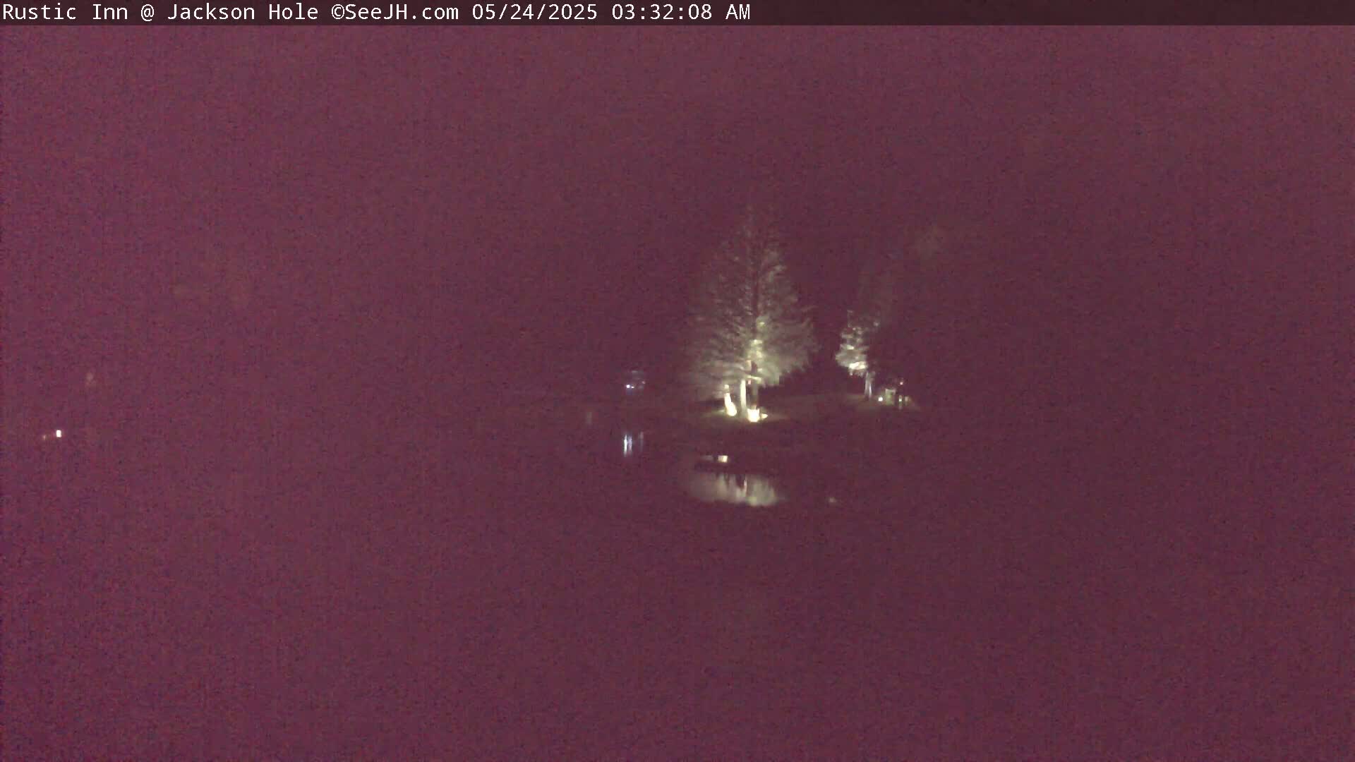 A nighttime view of a dark body of water reflecting illuminated trees and vegetation.