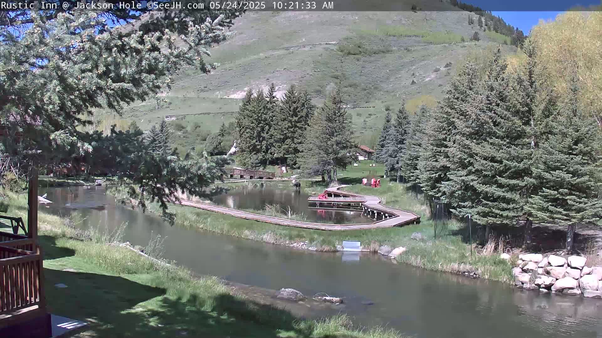 A calm river winds through a grassy area with a wooden boardwalk encircling a small pond, all nestled among evergreen trees and a hillside under a sunny sky.