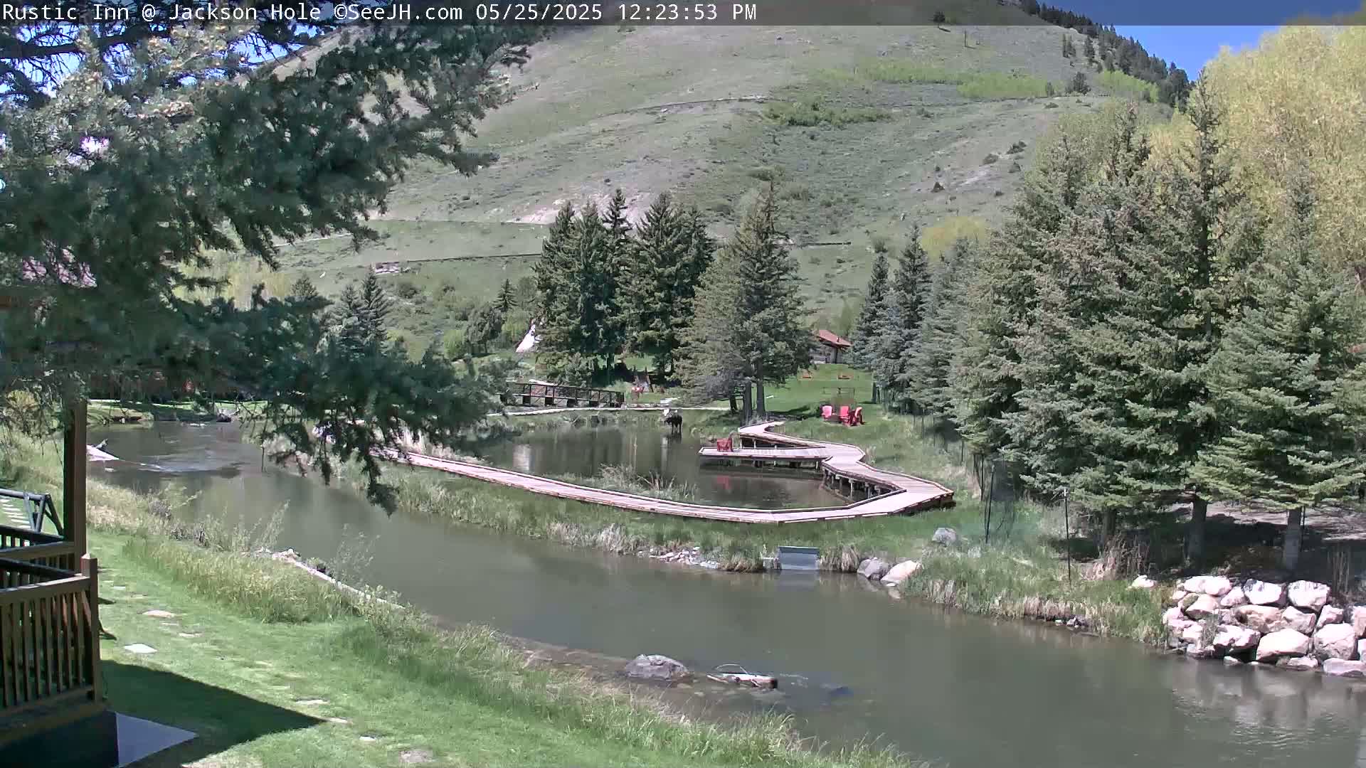 A calm river flows through a verdant valley under a sunny sky, past a winding boardwalk surrounding a pond, nestled amongst evergreen trees and grassy areas.