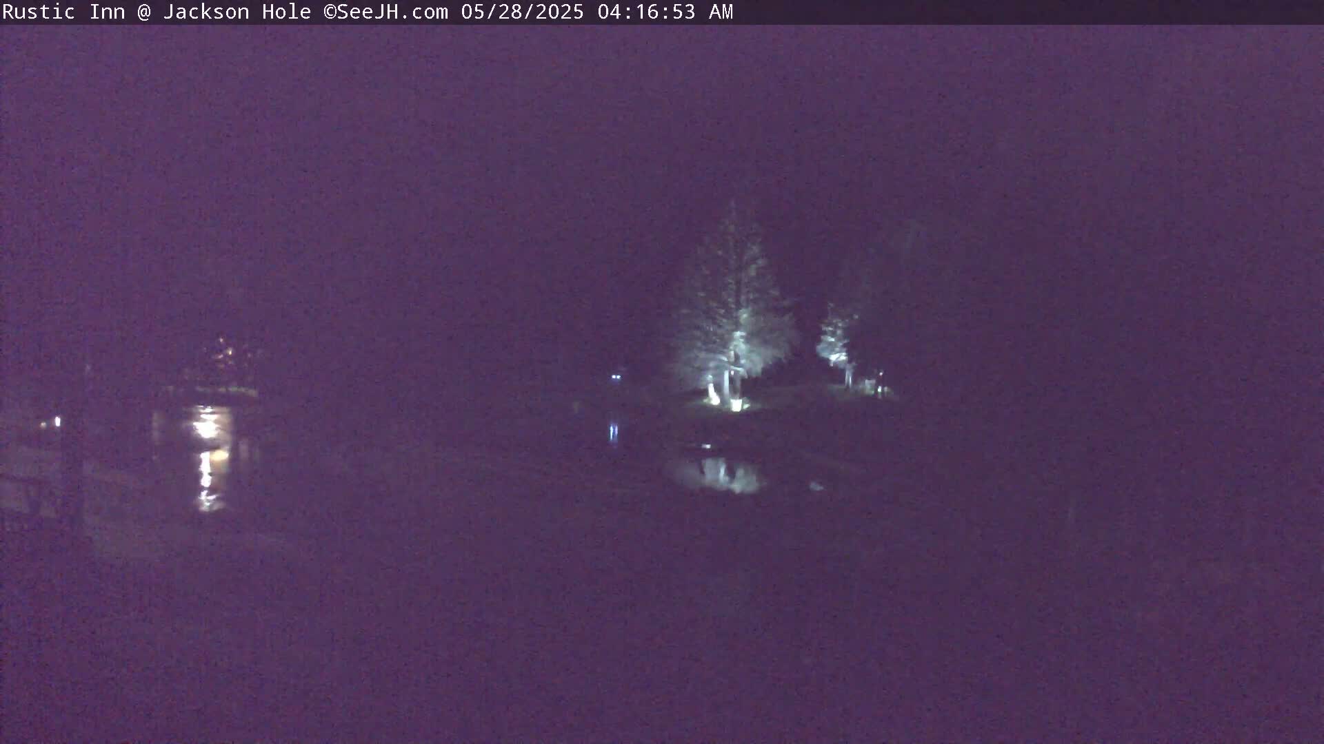 A nighttime, low-light view shows a dark body of water reflecting a few illuminated trees and lights on the opposite bank.