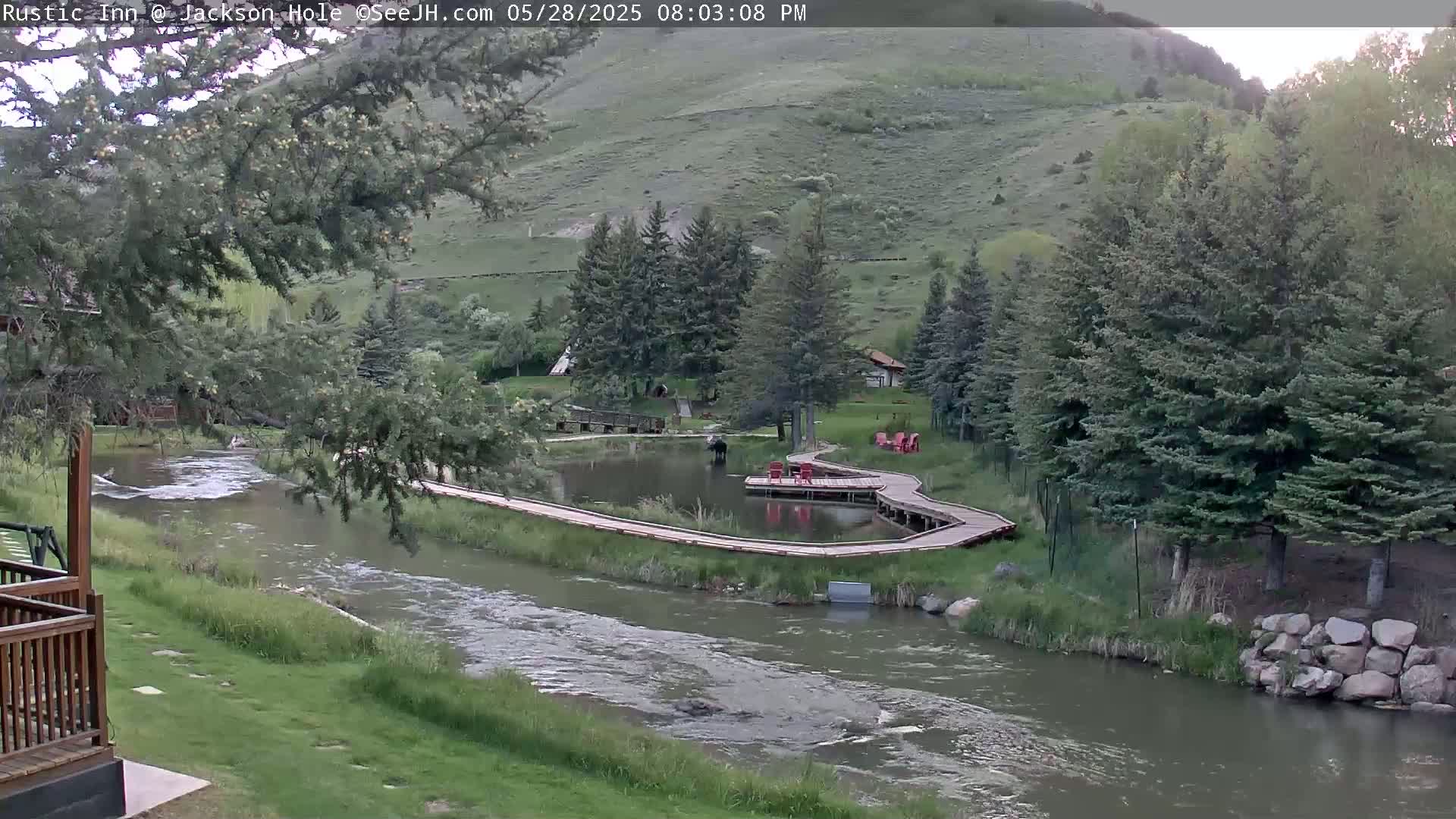 A wooden walkway curves around a calm pond next to a flowing river, bordered by green grass, evergreen trees, and a hillside under an overcast sky.