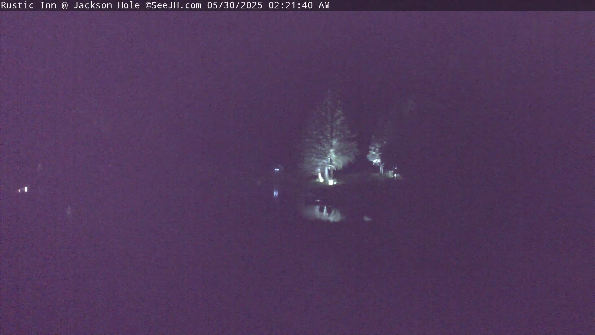 A nighttime, low-light view of a dark body of water reflecting illuminated trees on its shore.