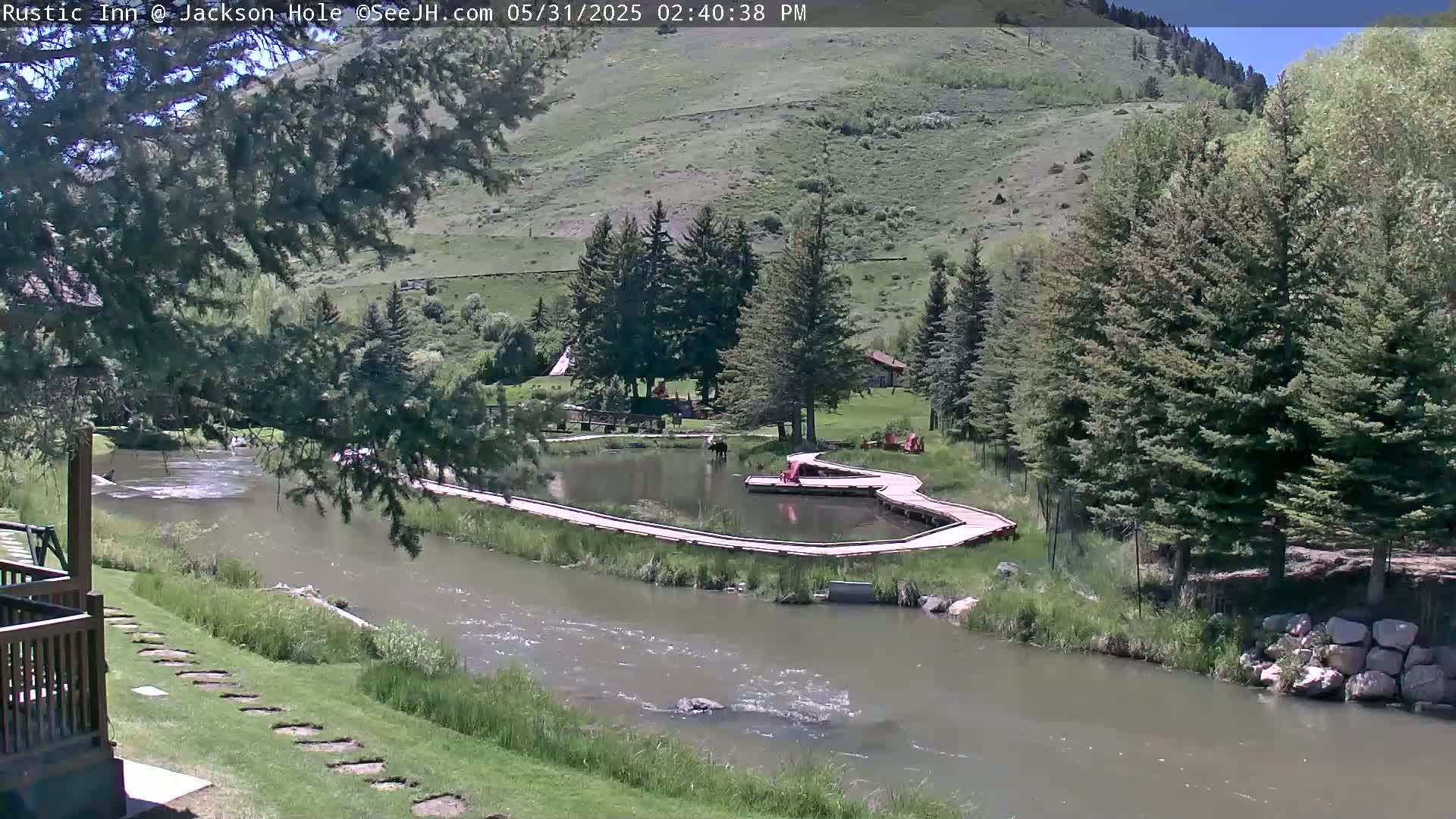 A river flows past a grassy area with a wooden walkway leading to a small pond, all surrounded by lush green vegetation and trees under a sunny sky.
