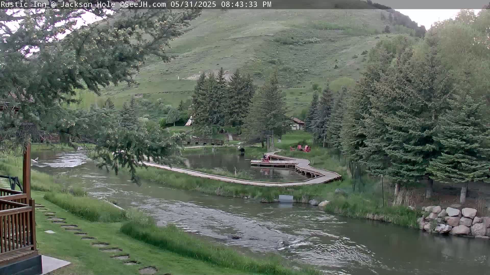 Jackson Hole, Flat Creek from Rustic Inn Resort Live Cam - Jackson, Teton, Wyoming, USA