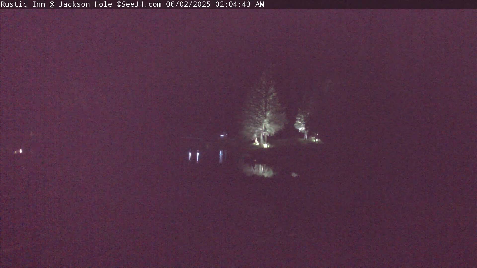 A nighttime, low-light view of a dark body of water reflecting illuminated trees on its shore under a clear, dark sky.