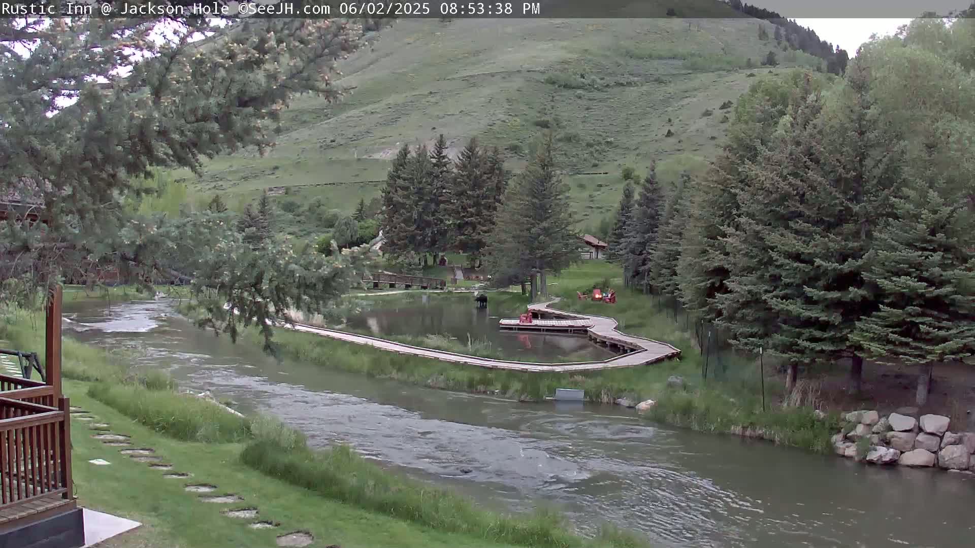 Jackson Hole, Flat Creek from Rustic Inn Resort Live Cam - Jackson, Teton, Wyoming, USA