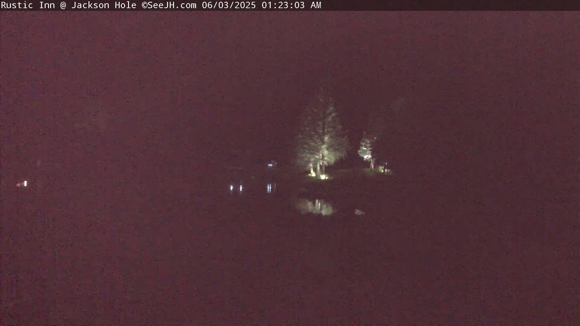 A nighttime view shows a dark body of water reflecting the lights of several trees on the far shore under a dark sky.