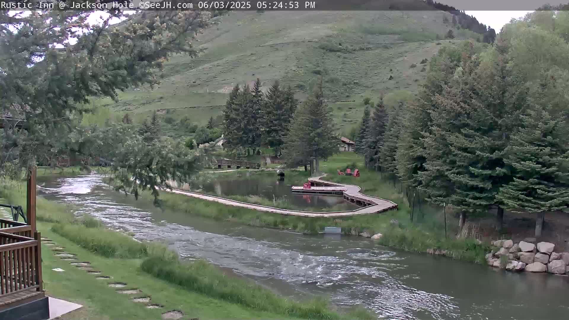 A river flows past a grassy area with a small pond and wooden walkways, surrounded by evergreen trees and a hillside under an overcast sky.